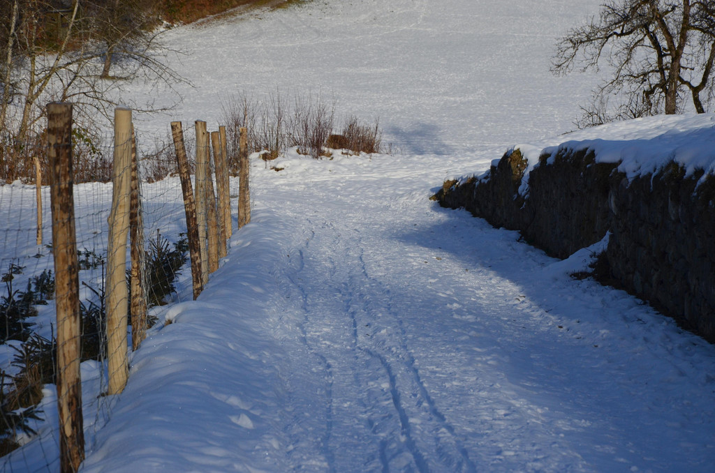 Wanderung 090121_3.JPG