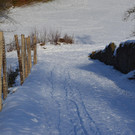 Wanderung 090121_3.JPG