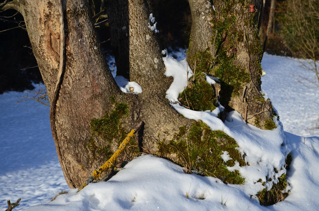 Wanderung 090121_4.JPG