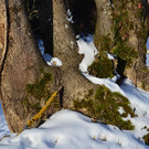 Wanderung 090121_4.JPG