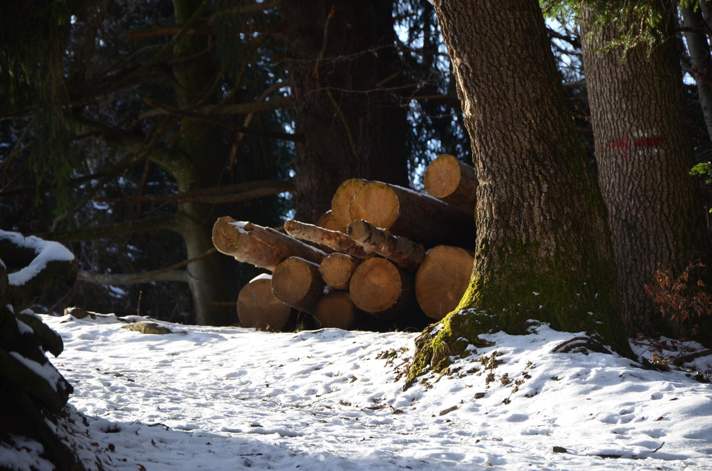 Wanderung 090121_5.JPG
