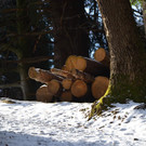 Wanderung 090121_5.JPG