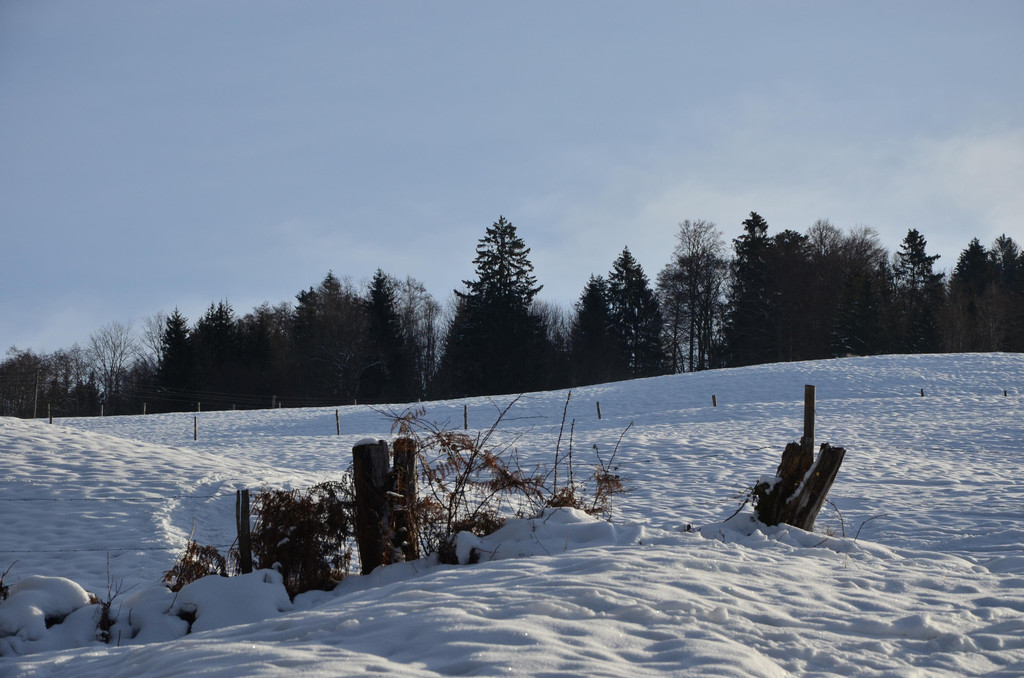 Wanderung 090121_6.JPG