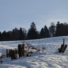 Wanderung 090121_6.JPG