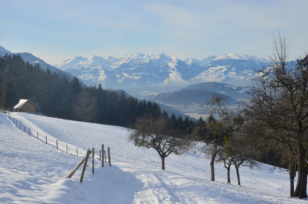 Wanderung 090121_8.JPG