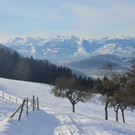 Wanderung 090121_8.JPG