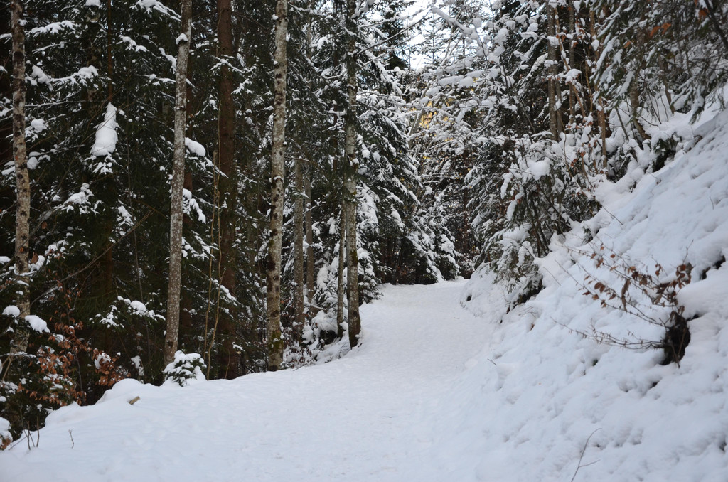 Wanderung 090121_10.JPG