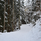 Wanderung 090121_10.JPG