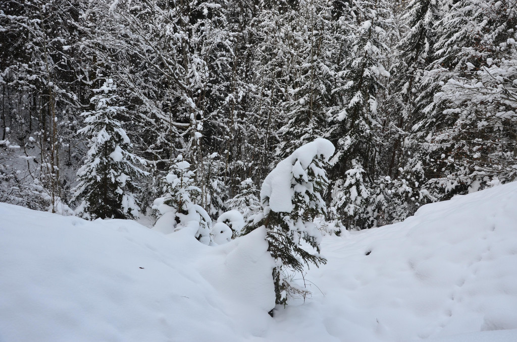 Wanderung 090121_11.JPG