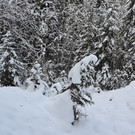 Wanderung 090121_11.JPG