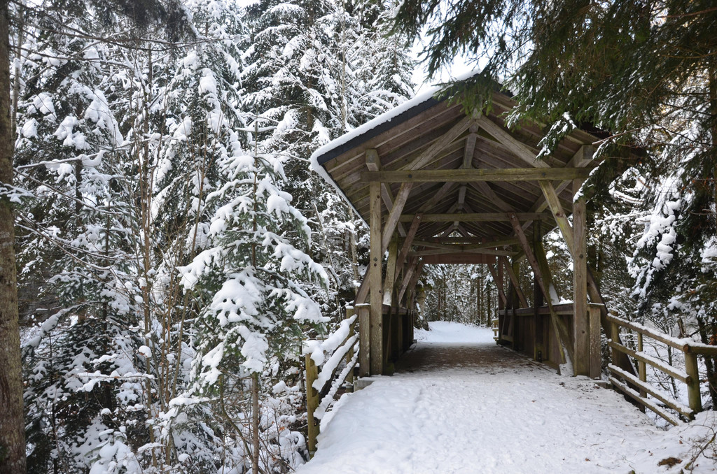 Wanderung 090121_12.JPG