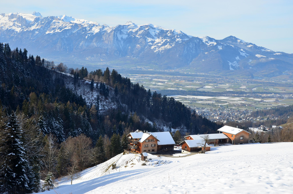 Wanderung 090121_14.JPG