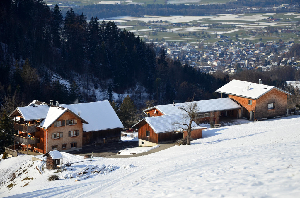 Wanderung 090121_15.JPG