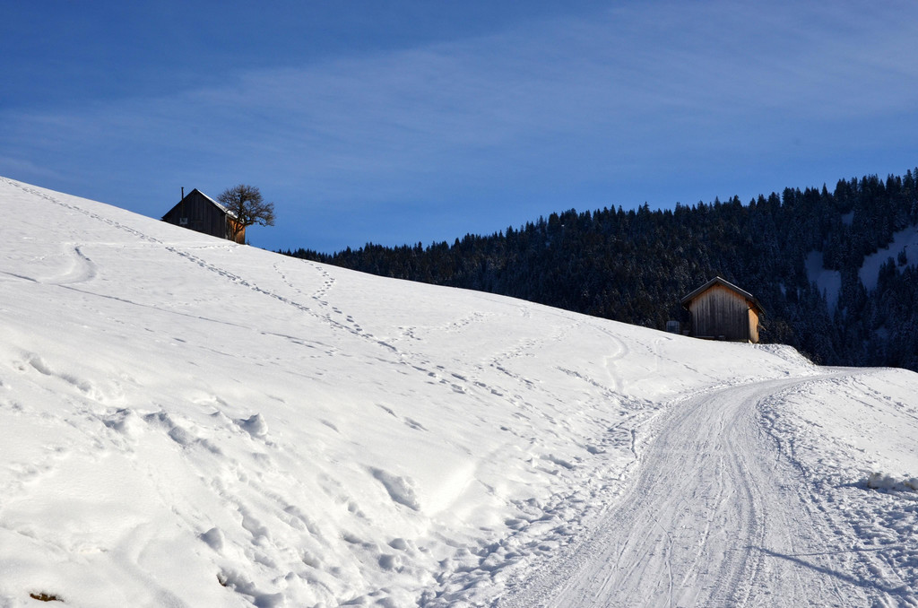 Wanderung 090121_16.JPG