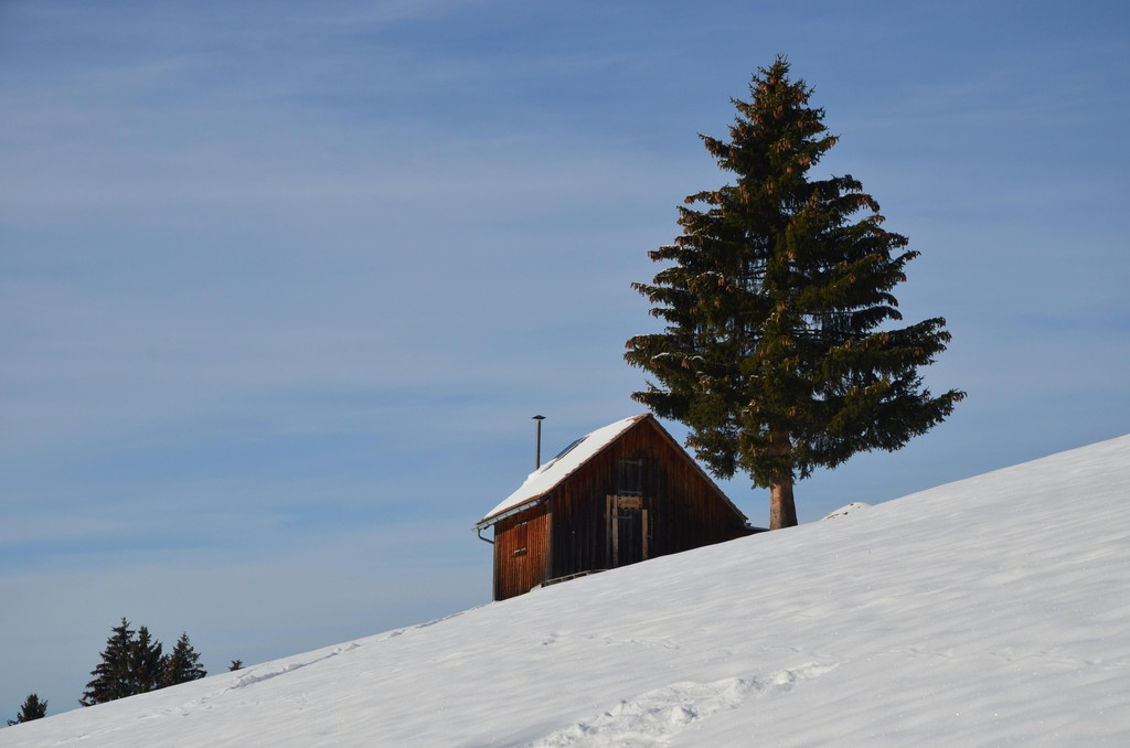 Wanderung 090121_18.JPG