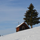 Wanderung 090121_18.JPG