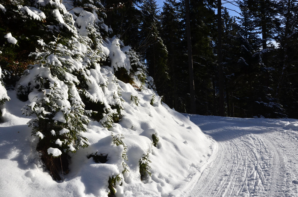 Wanderung 090121_19.JPG