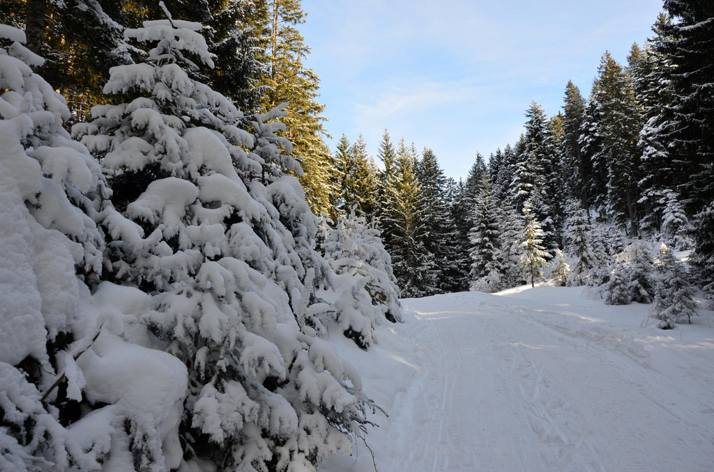 Wanderung 090121_20.JPG