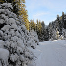 Wanderung 090121_20.JPG