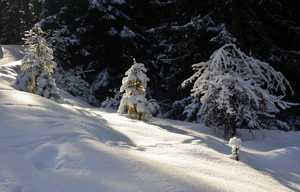 Wanderung 090121_22.JPG
