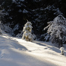 Wanderung 090121_22.JPG