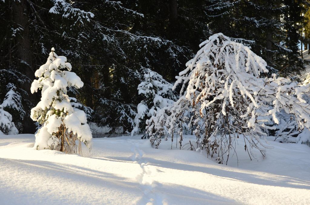 Wanderung 090121_23.JPG