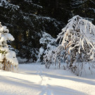 Wanderung 090121_23.JPG