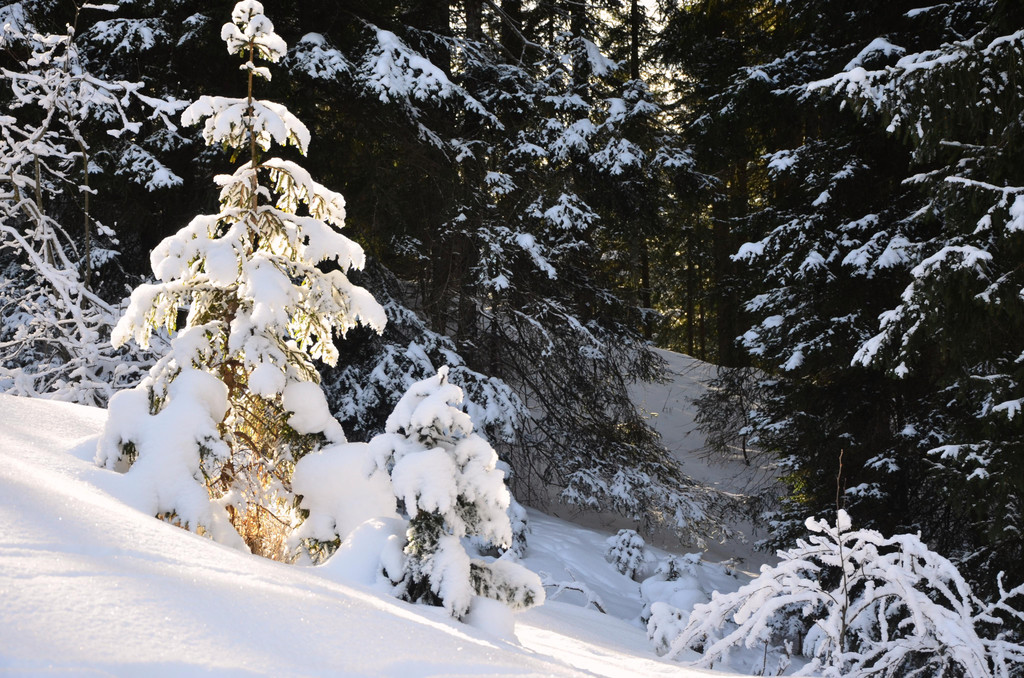 Wanderung 090121_24.JPG