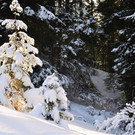 Wanderung 090121_24.JPG