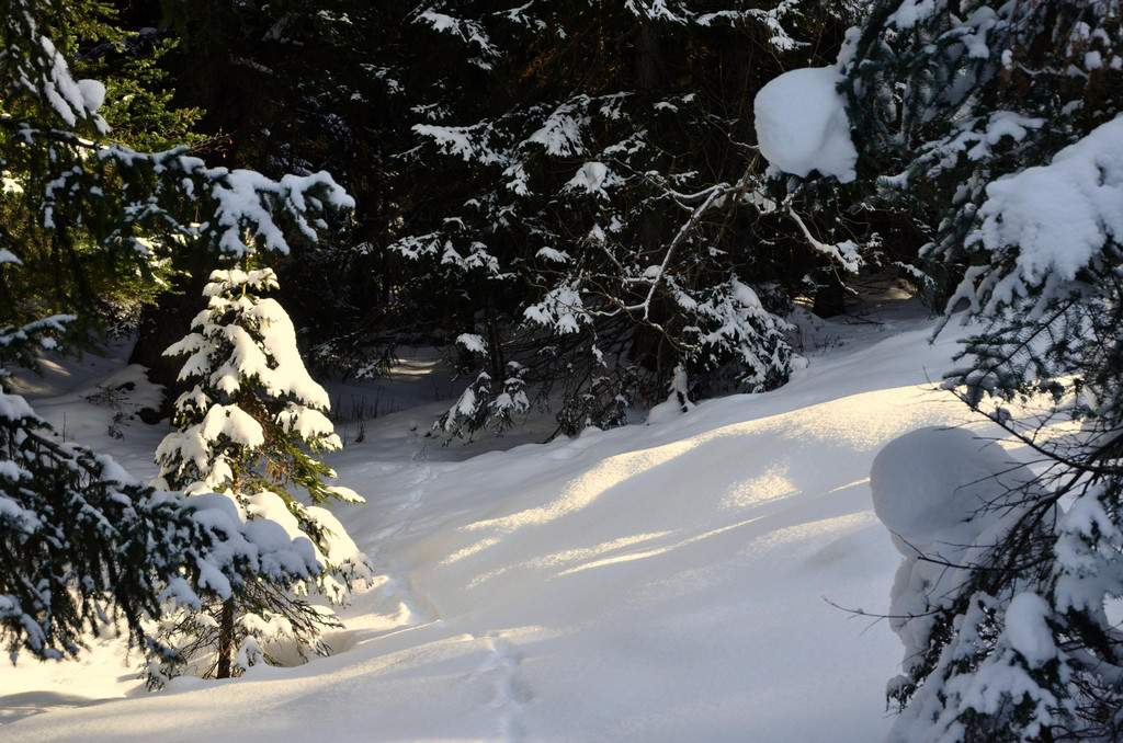 Wanderung 090121_25.JPG