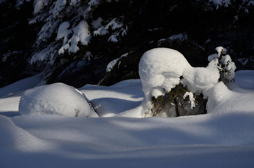 Wanderung 090121_26.JPG