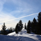 Wanderung 090121_27.JPG