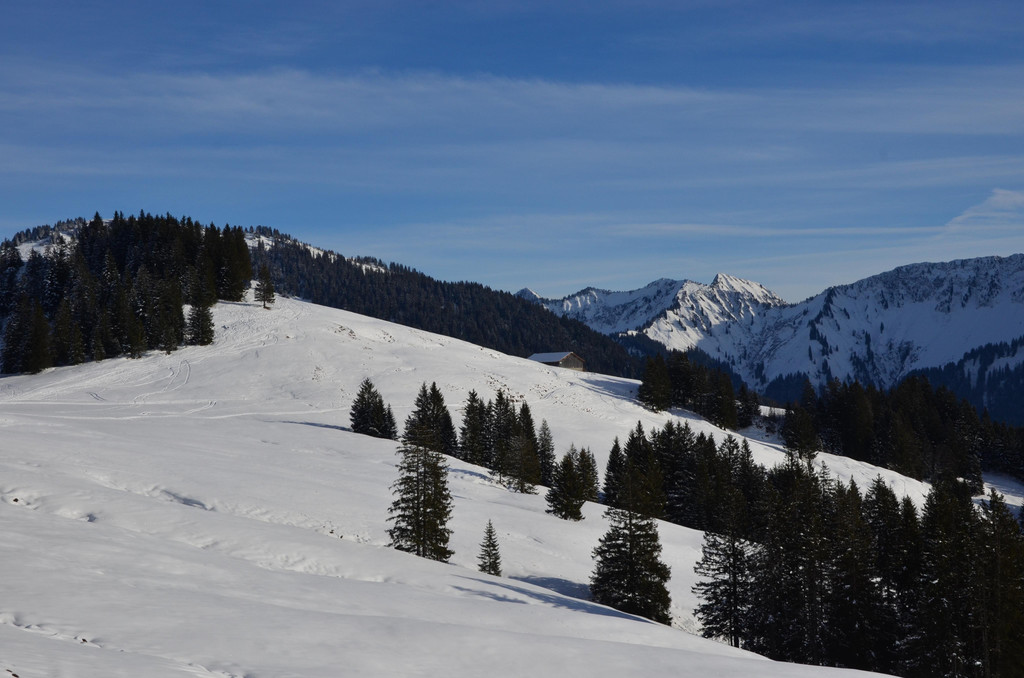 Wanderung 090121_28.JPG