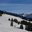 Wanderung 090121_28.JPG