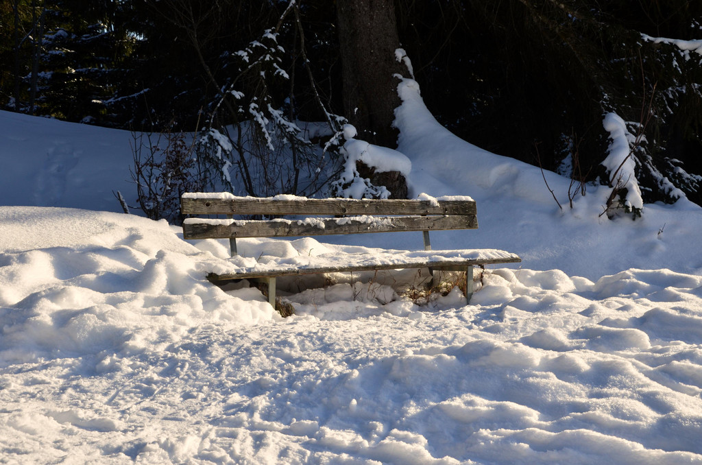 Wanderung 090121_30.JPG