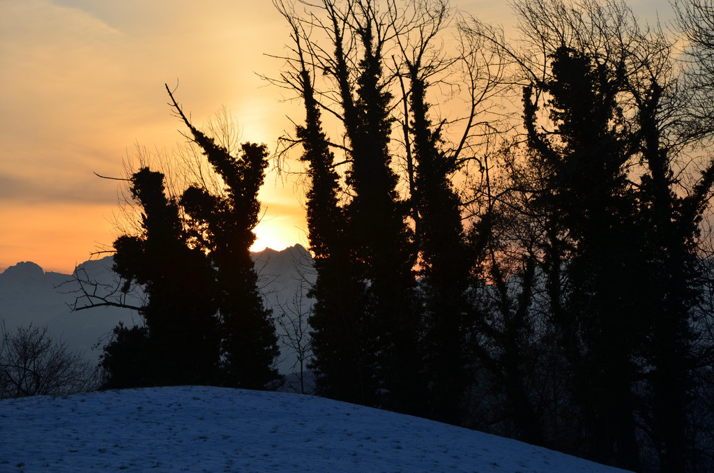 Wanderung 090121_31.JPG