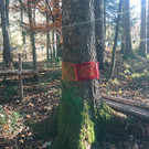 Waldplatz Kindergarten __bersaxen _5_.JPG