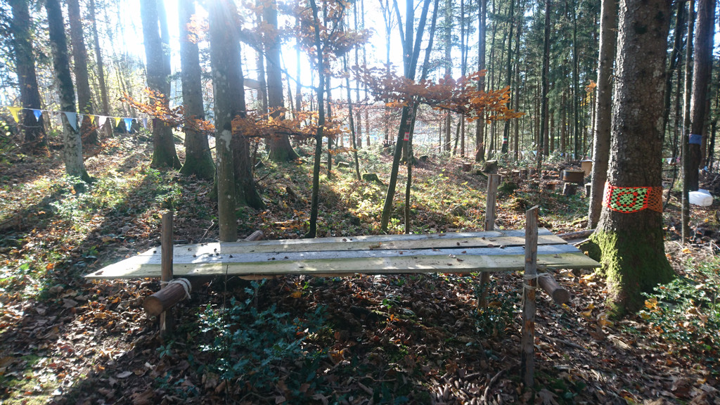 Waldplatz Kindergarten __bersaxen _6_.JPG