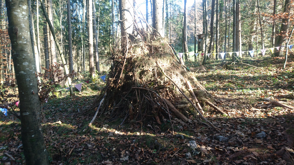 Waldplatz Kindergarten __bersaxen _8_.JPG