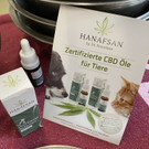 Tierschutzheim nutzt CBD-Öl