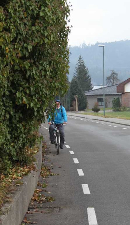 RLV_Rankweil_Zehentstra__e 2.jpg
