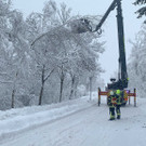 Umgestürzte Bäume und Schneeräumung in Koblach