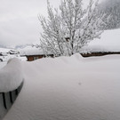 Winterfotos