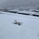 IMG-20210115-WA0040.jpg