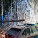 Möggers: Baum auf Polizeiauto gestürzt