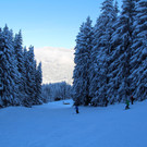 IMG_2751.JPG