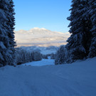 IMG_2754.JPG