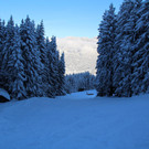 IMG_2748.JPG