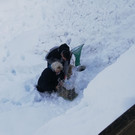 IMG_20210119_131846.jpg