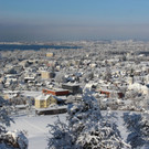Winterliche Stimmung in Lochau am Bodensee